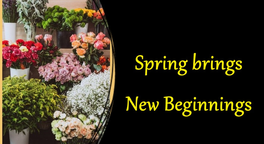 Embracing a Fresh Start