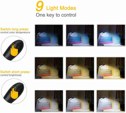 Clip-On Dual Head Light