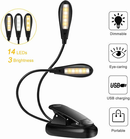Clip-On Dual Head Light